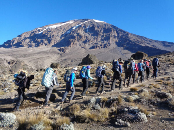 7-Day Lemosho Route Trek
