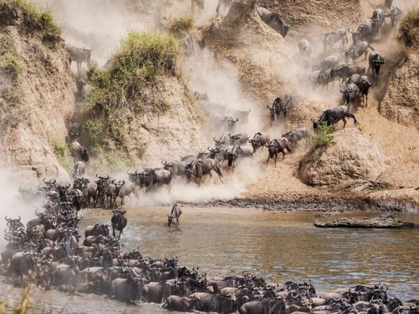 5-Day Great Migration at the Mara River Crossing