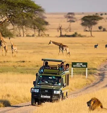 Tanzania Safari Tours | Africa Holidays | Utele Safari