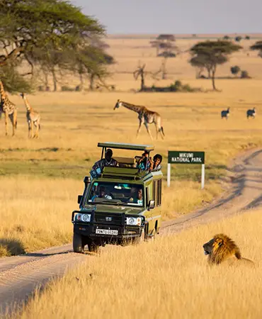 Tanzania Safari Tours | Africa Holidays | Utele Safari